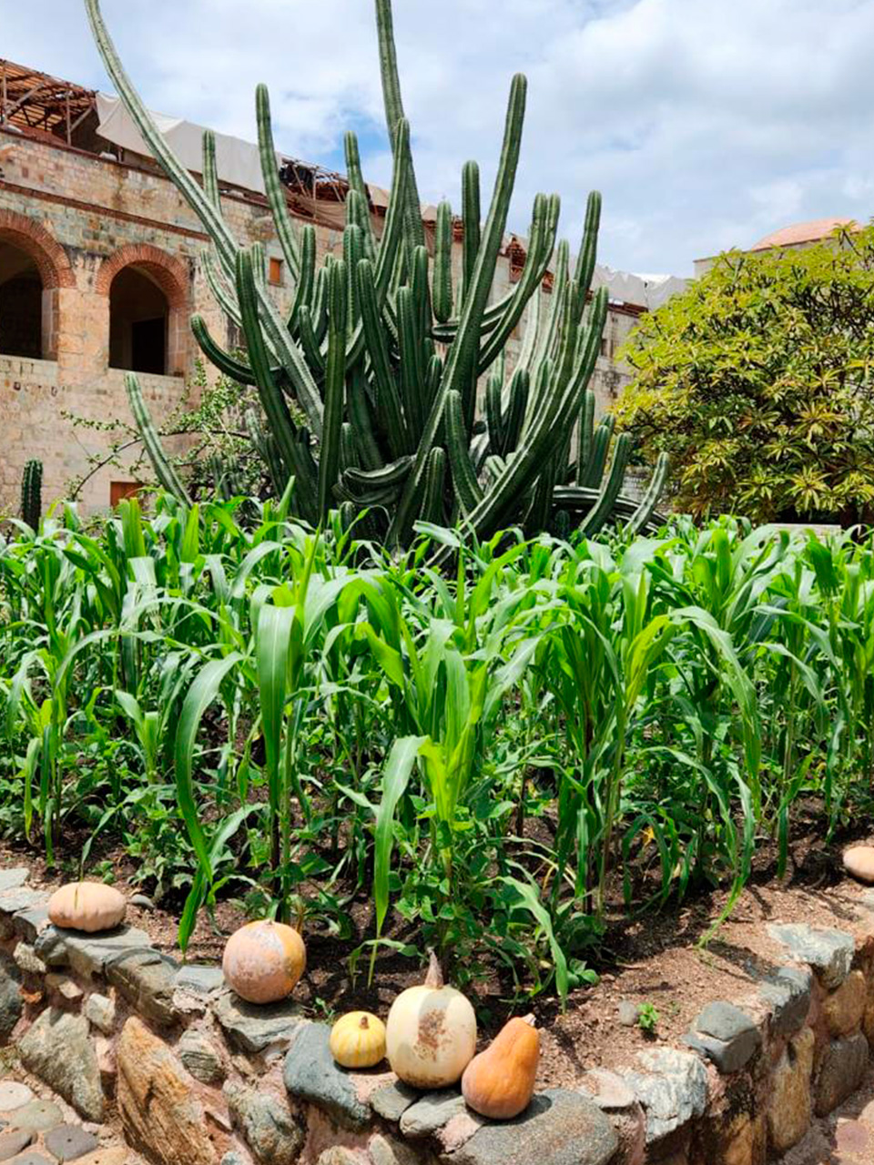 WhatsApp Image 2024-09-02 at 5.39.27 PM (4)