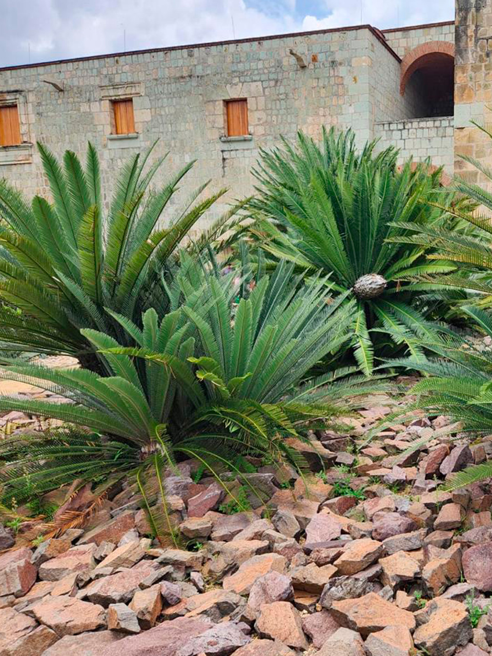 WhatsApp Image 2024-09-02 at 5.39.29 PM (1)