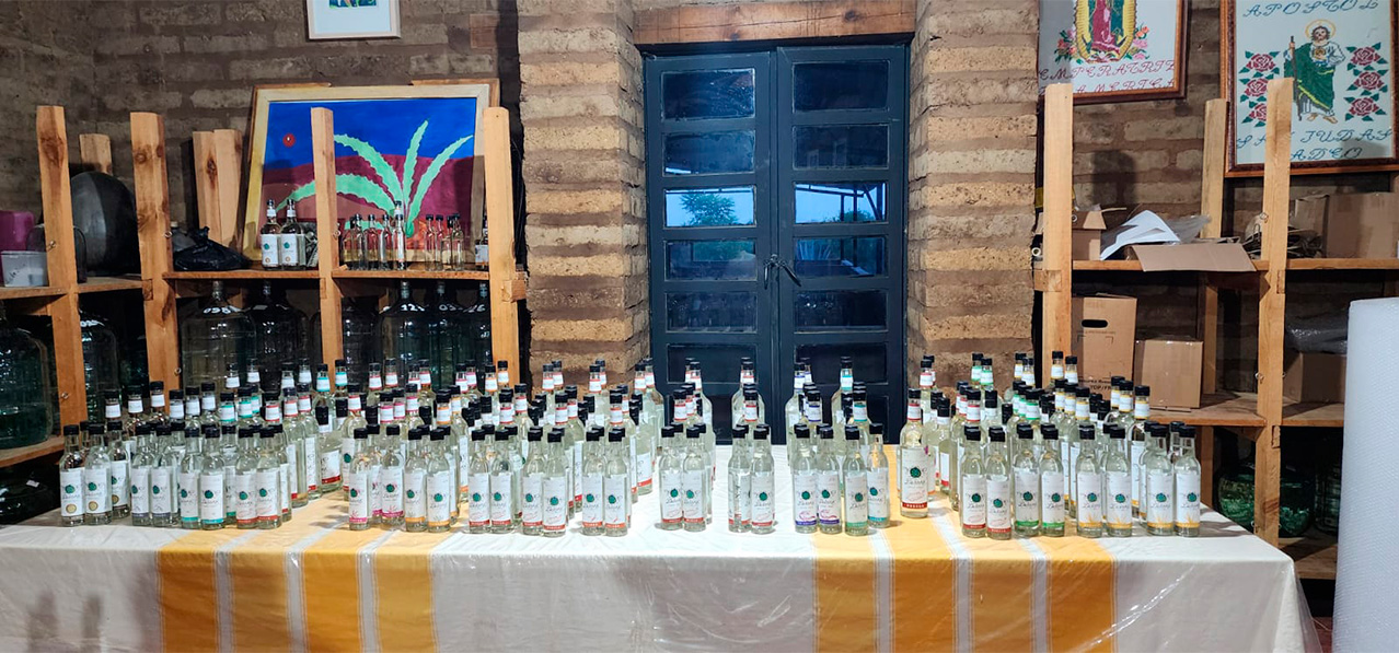 WhatsApp Image 2024-09-04 at 3.23.12 PM (2)