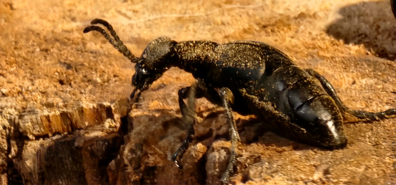 WhatsApp Image 2024-09-04 at 3.23.13 PM (4)