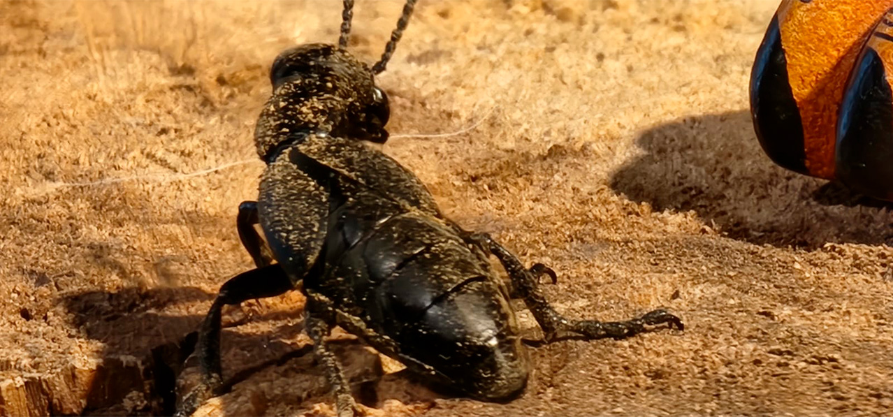 WhatsApp Image 2024-09-04 at 3.23.13 PM (5)