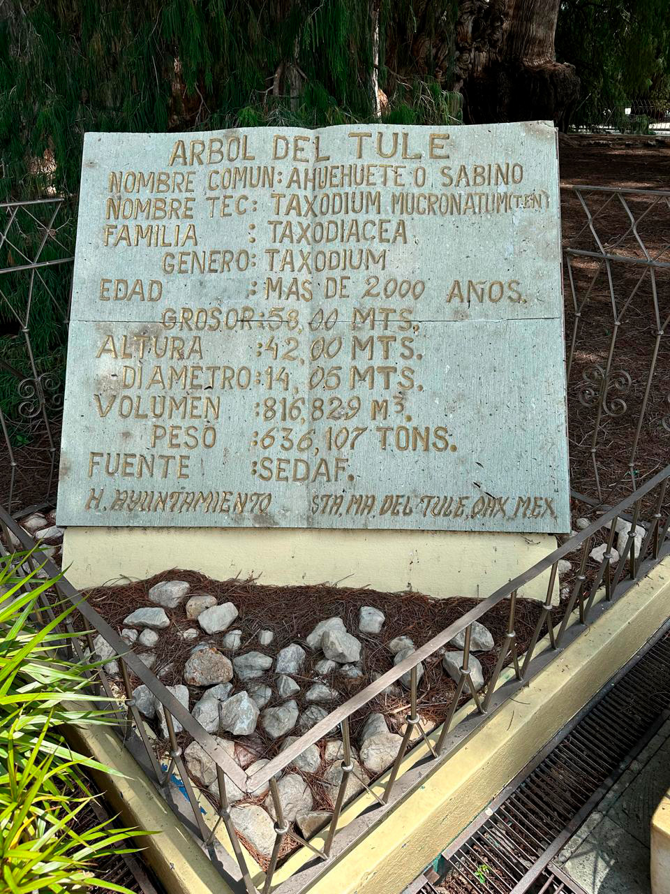 WhatsApp Image 2024-09-04 at 3.23.37 PM